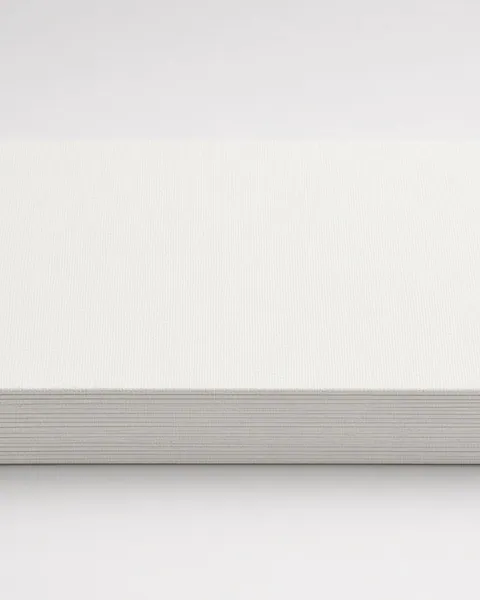 CanvasPad Primed Sheets 8x10